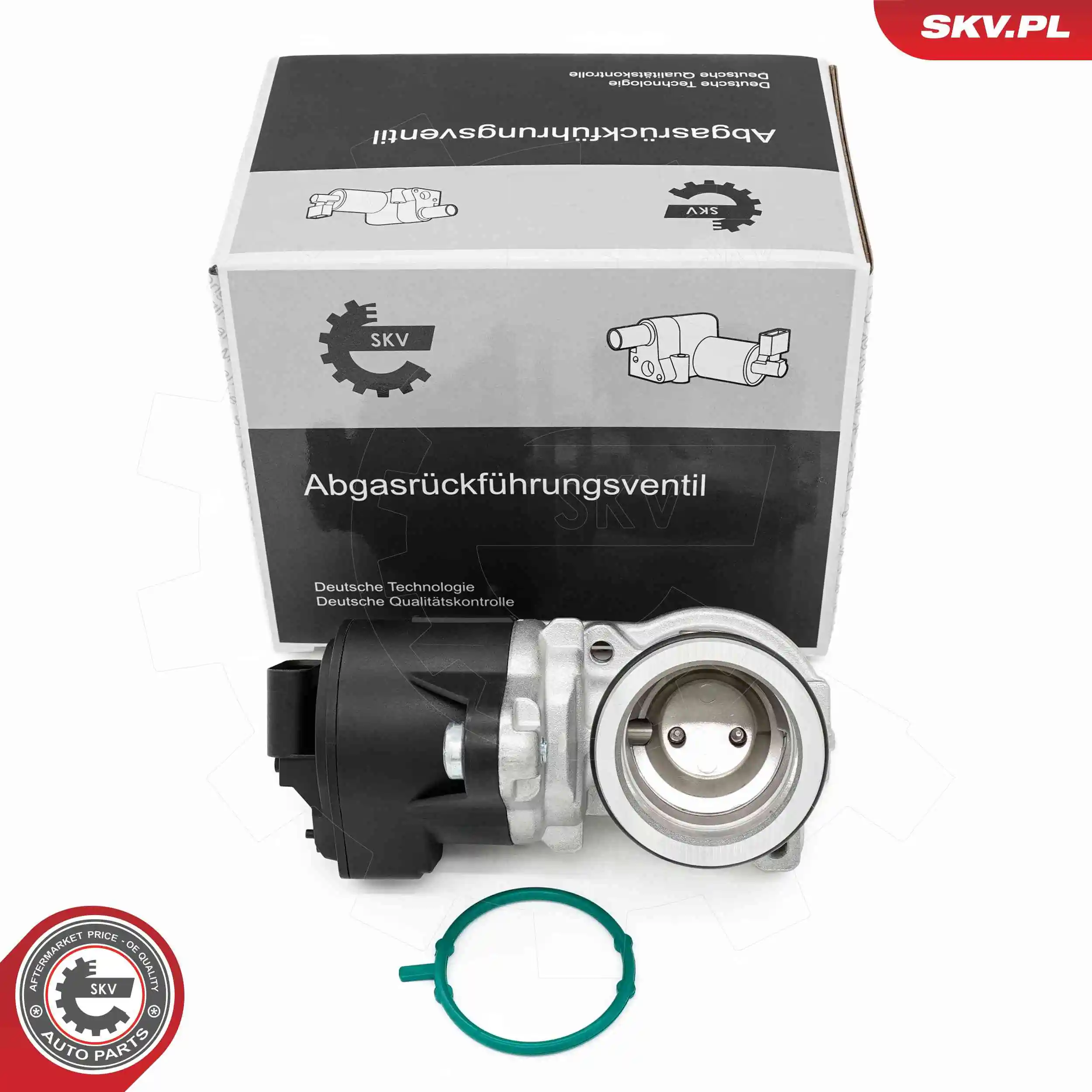EGR Valve